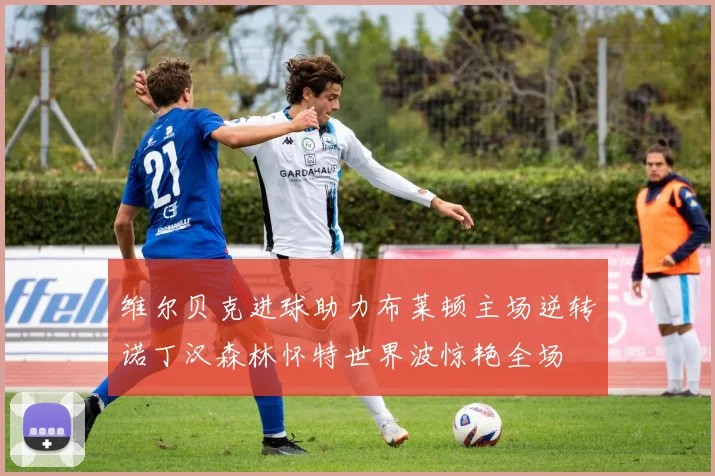 维尔贝克进球助力布莱顿主场逆转诺丁汉森林怀特世界波惊艳全场
